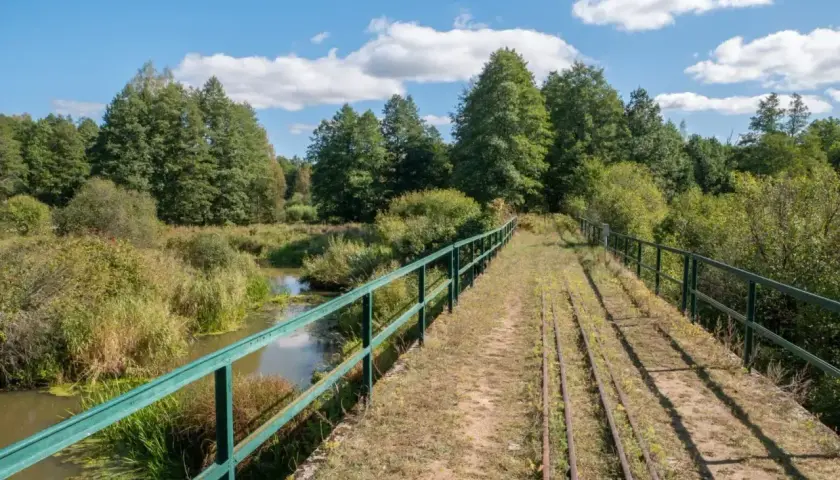 Most starych torów kolejowych przez bagna w Białowieskim Parku Narodowym.