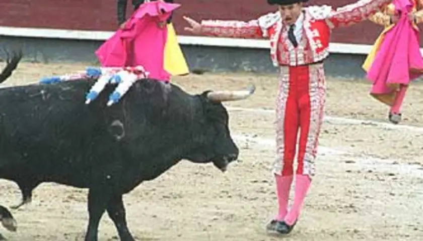 Un torero en traje de luces se enfrenta a un toro con banderillas en el lomo, durante el tercio de banderillas.