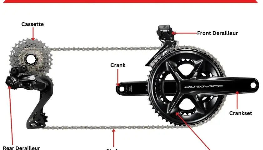 Diagram of bike drivetrain components, including cassette, rear derailleur, chain, crankset, chainring, and front derailleur, essential for mountain bike gears.