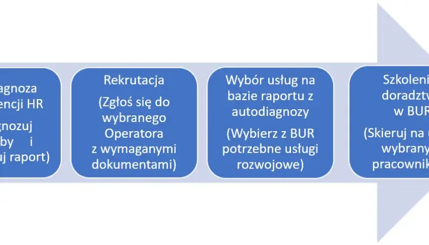 Dofinansowanie z BUR: Kto może skorzystać? Przewodnik dla MŚP