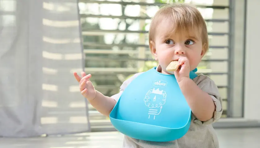 Bambino con bavaglino blu che mangia un biscotto, un esempio di autosvezzamento come funziona.