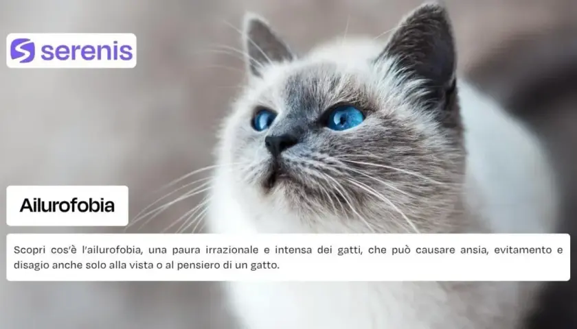 Un gatto dagli occhi blu intenso, con il testo "Ailurofobia" e la descrizione di questa paura dei gatti.