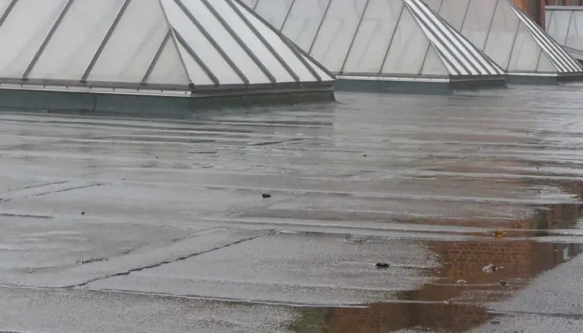 Regennasse Dachflächen mit sichtbarer flachdach neigung und mehreren Oberlichtern.