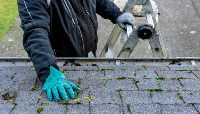 Skuteczne sposoby jak usunąć mech z dachówki bitumicznej bez uszkodzeń