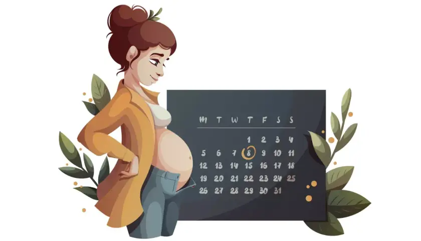 Donna incinta guarda un calendario, con l'8 cerchiato, forse la data concepimento.