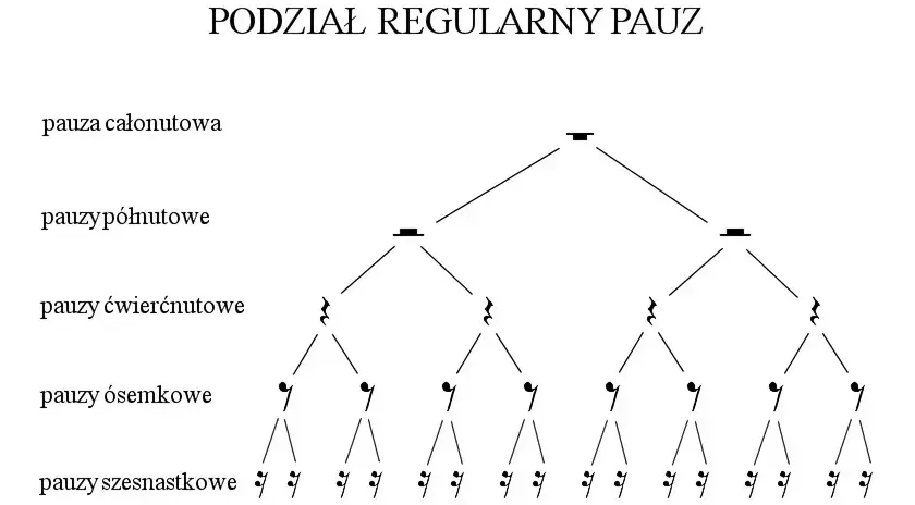 Pauzy w muzyce: pauza ósemkowa, szesnastkowa, półnutowa, całonutowa