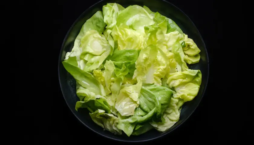 Frischer Kopfsalat in einer Schüssel, bereit für ein leichtes Kopfsalat Rezept.