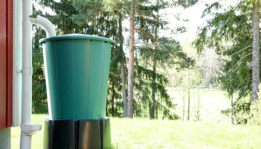Zielona beczka zbiera wodę opadową z rynny. W tle las i zielona trawa.