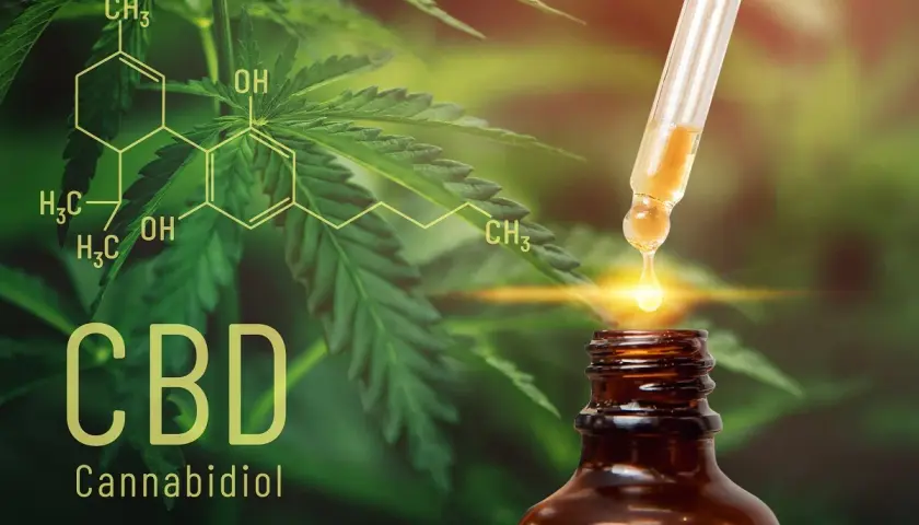 Olejek CBD: Na co działa? Pełny przewodnik po korzyściach