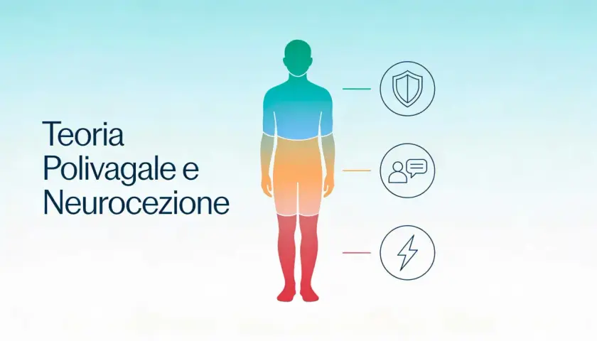 Illustrazione della teoria polivagale: un corpo umano stilizzato con icone che rappresentano protezione, connessione e reazione.