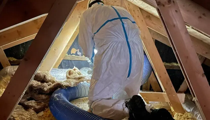 Person i skyddsdräkt installerar isolering på en vind med blå slang. Bra isolerab recensioner är viktiga för energieffektivitet.