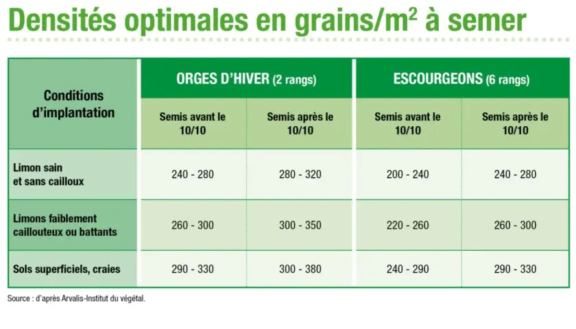 Tableau des densités optimales pour le semis d'orge d'hiver et d'escourgeon, selon les conditions d'implantation et la date de semis.