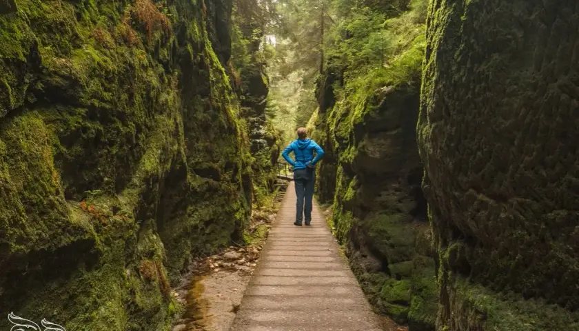 Szwajcaria Saksońska: przewodnik po szlakach, Bastei i atrakcjach