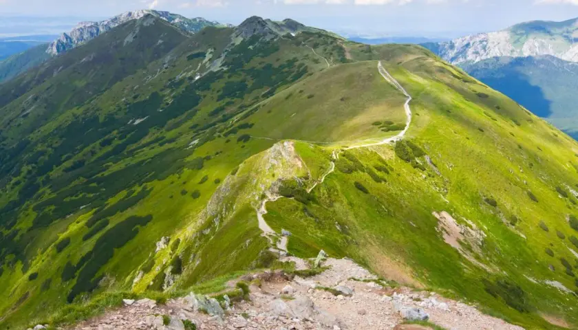 Malowniczy szlak na Ornaka z Doliny Kościeliskiej, wijący się po zielonych zboczach Tatr Zachodnich.