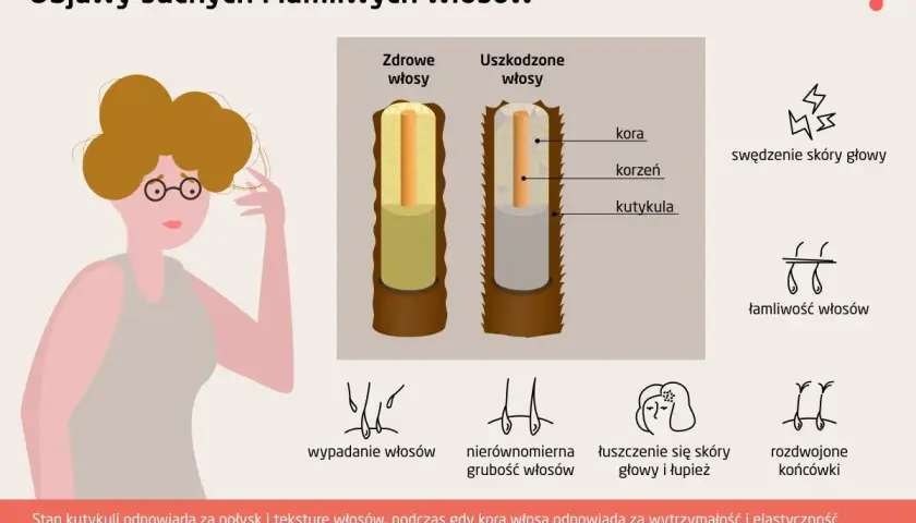 Ilustracja porównująca zdrowe i uszkodzone włosy, z ikonami objawów.