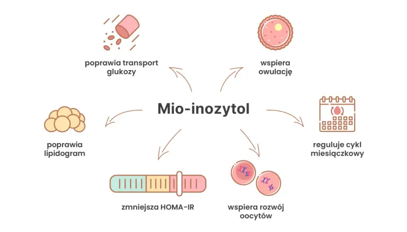 Mio-inozytol wspiera płodność przy PCOS, poprawiając transport glukozy, lipidogram, owulację i rozwój oocytów, regulując cykl miesiączkowy i zmniejszając HOMA-IR.