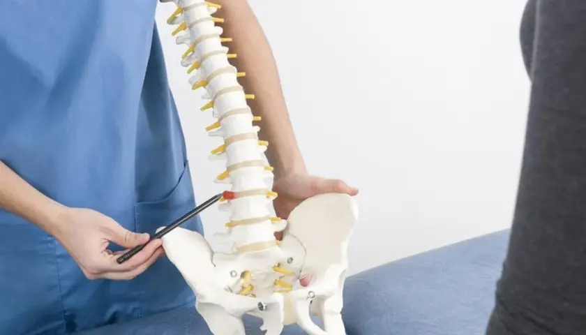 Fizjoterapeuta pokazuje model kręgosłupa, omawiając wpływ torbieli pajęczynówki na wysiłek fizyczny.