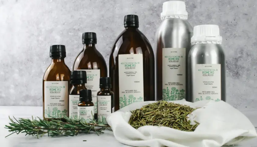 Aceites esenciales de romero en frascos de vidrio y metal, con ramitas frescas y romero seco. El aroma de linalool impregna la escena.