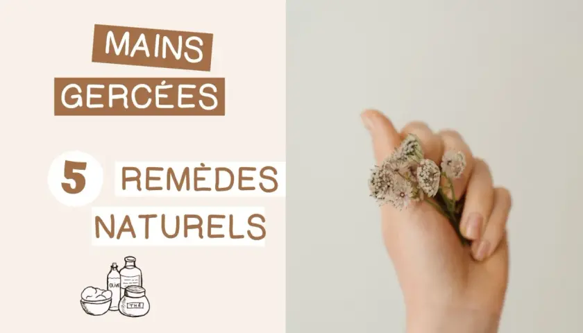 Mains très sèches ? Découvrez 5 remèdes naturels, des secrets de grand-mère pour des mains douces et hydratées.