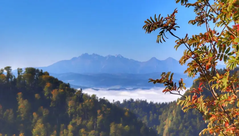 Jesienny widok z sokolica szlak na Tatry. Mgły unoszą się w dolinach, a drzewa mienią się kolorami.