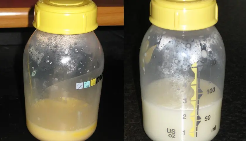 Zwei Flaschen mit Muttermilch. Links ist die gelbliche Flüssigkeit, die zeigt, was ist das: Kolostrum. Rechts ist reifere Milch.