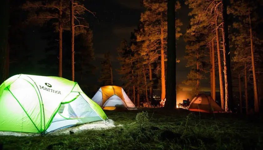 Nocowanie w lesie: trzy namioty oświetlone od środka, ognisko i gwiazdy na nocnym niebie.