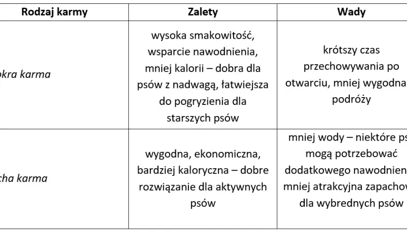 Jak dawkować mokrą karmę psu? Tabela i praktyczne wskazówki