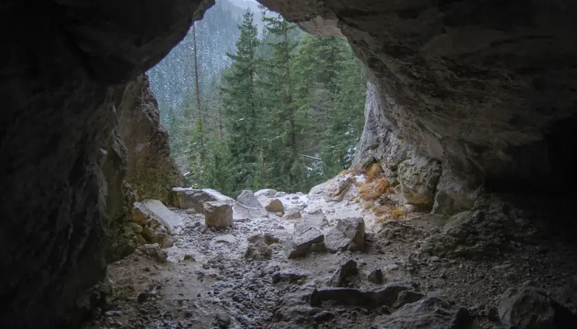 Widok z jaskini Mylna Śmierć na ośnieżony las. Kamieniste dno i skalne ściany tworzą mroczne wejście.