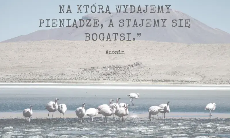 Poznaj najpiękniejsze krótkie cytaty o lecie i wakacyjnych chwilach