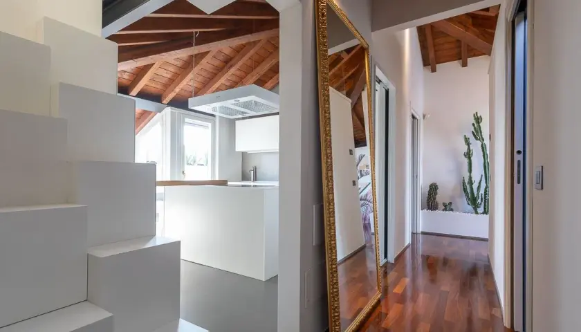 Specchio dorato e cactus per rendere luminoso un corridoio moderno con soffitto a vista in legno.
