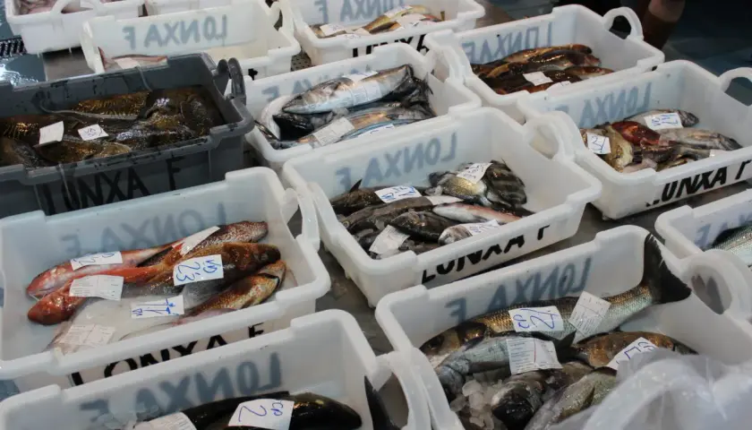 Variedad de pescados frescos en cajas, listos para la venta en un mercado de artes de pesca en Galicia.