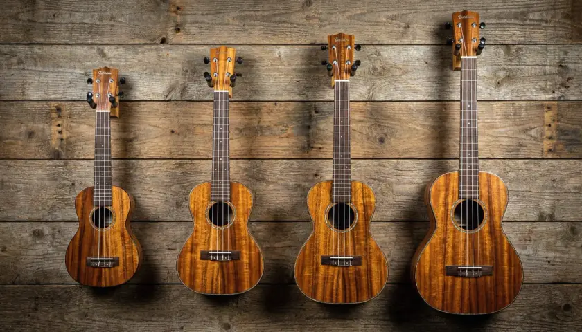 Quatre ukulélés de tailles différentes, chacun représentant un type de ukulele, sont accrochés sur un mur en bois rustique.