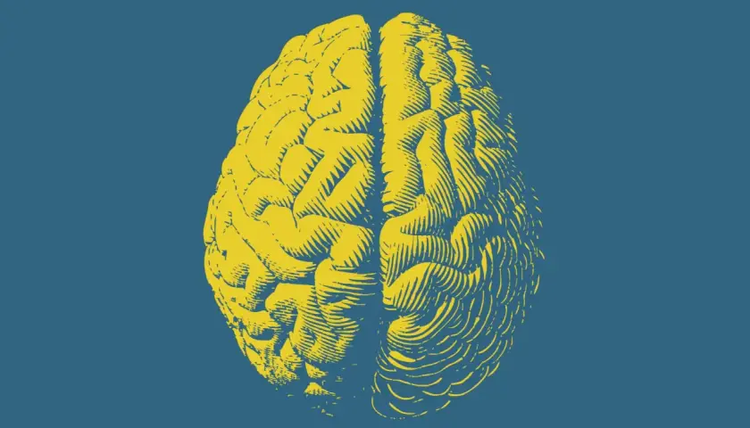 Cervello giallo stilizzato su sfondo blu. Un'immagine che evoca la complessità del pensiero, forse per esplorare il parafilia significato.