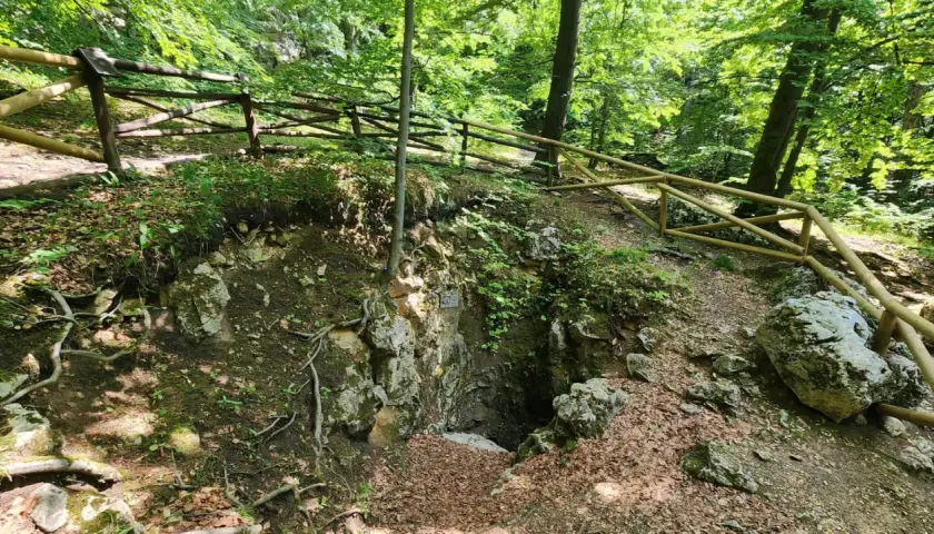 Wejście do jaskini w rezerwat sokole góry. Drewniane ogrodzenie chroni ścieżkę wśród zieleni i skał.
