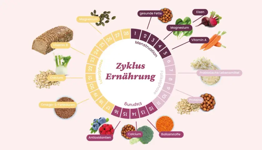 Der Zyklus der Ernährung zeigt, wie energiereiches Essen wie Vollkornbrot, Beeren und Nüsse den weiblichen Zyklus unterstützt.
