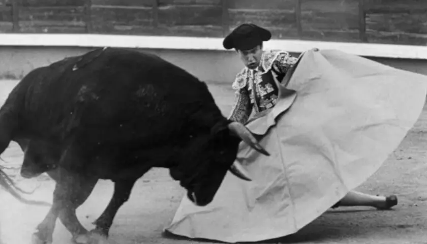 Un torero se enfrenta a un toro bravo en la arena. El toro, que mató a Yiyo, embiste con fuerza.