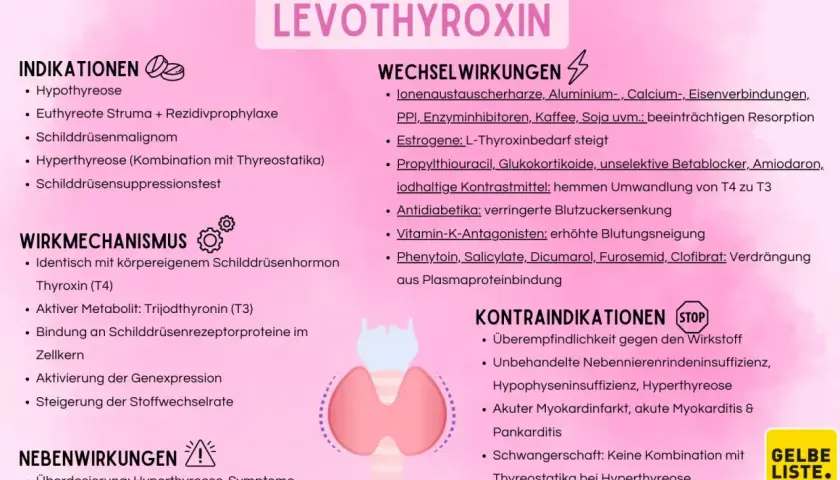 Levothyroxin: Indikationen, Wirkmechanismus, Wechselwirkungen, Kontraindikationen und Nebenwirkungen. Behandelt u.a. Hypothyreose.