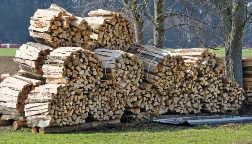 Stapel von gespaltenem Holz, bereit für den Winter. Dieses sehr alte Holz brennt schlecht, aber es ist ein schöner Anblick.
