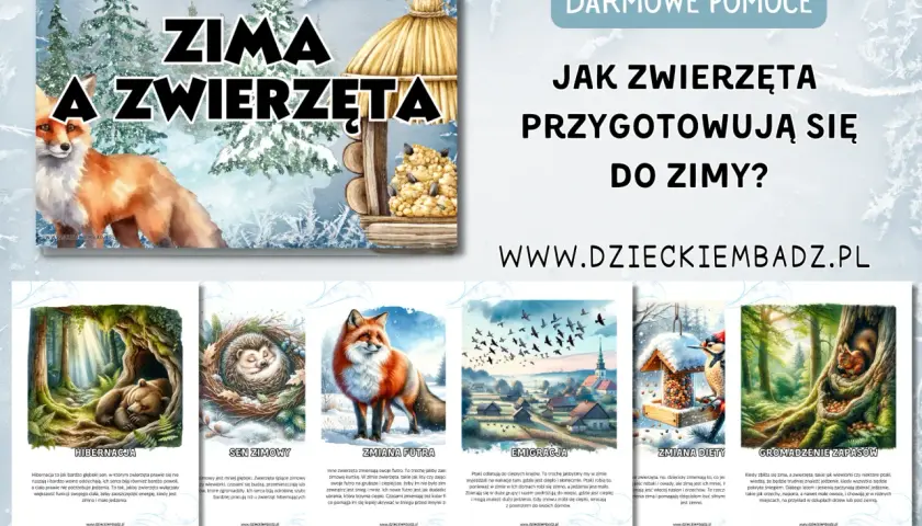 Zobacz jakie zwierzęta i rośliny przygotowują się do zimowania w ziemi