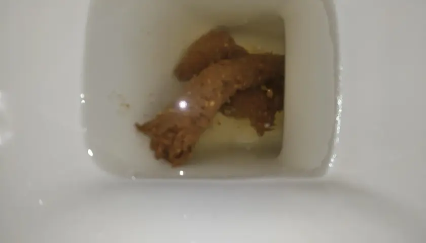 W kale widoczne są brązowe fragmenty i drobne białe grudki.