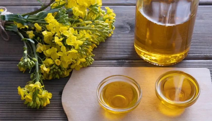 Ein Strauß Rapsblüten neben zwei Schälchen und einer Flasche mit goldenem Rapsöl. Rapsöl gesund und vielseitig.