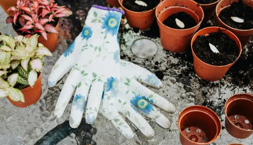 Blommiga handskar ligger bredvid krukor med jord och frön, redo för att odla på balkong. Små plantor väntar på att planteras.