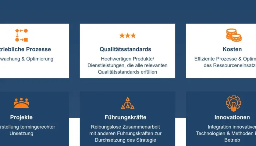 Grafik zeigt sechs Kacheln mit Icons und Texten zu Geschäftsprozessen, Qualitätsstandards, Kosten, Projekten, Führungskräften und Innovationen. Ein zentrales Element ist das leiter controlling.