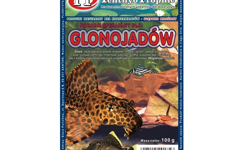 Jakie warzywa dla glonojada? Odkryj najlepsze opcje dla zdrowia ryb