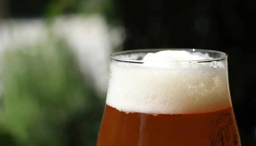 Verre de bière american amber ale, mousse abondante et dorée, avec un fond flou de verdure.