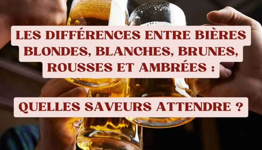 Des verres de bière aux différentes nuances de couleur bière, blonds, blancs, bruns, roux et ambrés.