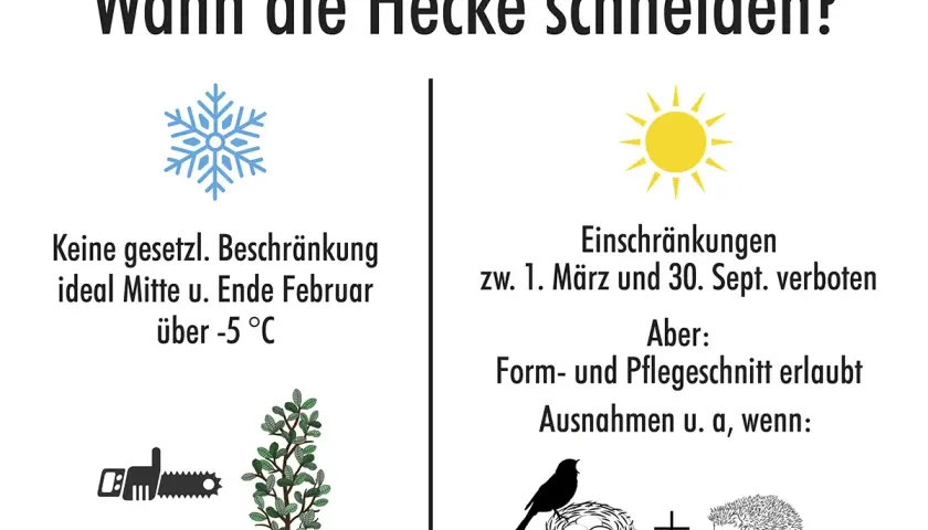 Hecke schneiden verboten vom 1. März bis 30. Sept. wegen Vogel- und Igelnestern. Form- und Pflegeschnitte sind erlaubt.