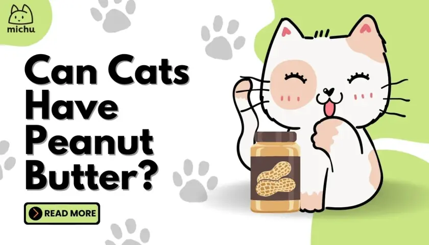A cute cat asks "Can cats have peanut butter?" next to a jar of peanut butter.
