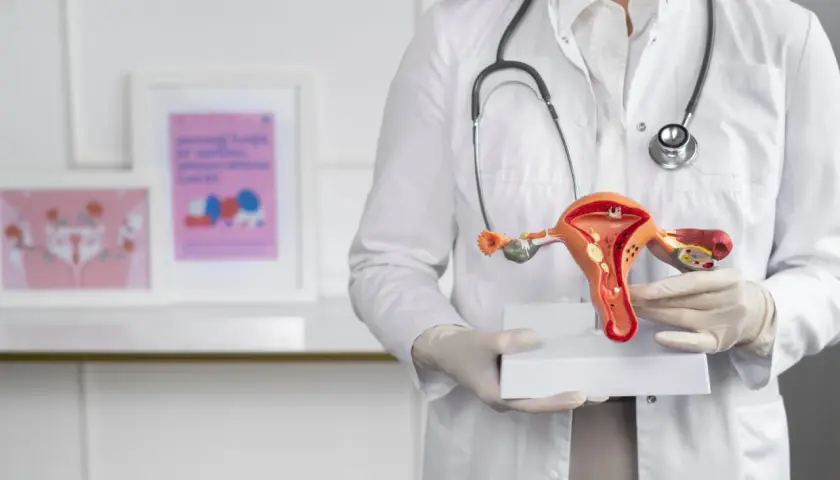 Lekarz w białym kitlu prezentuje model narządów rodnych, pokazując szczegóły budowy macicy i jej endometrium.