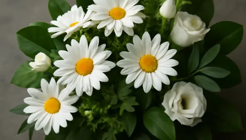 En bukett med vita marguerite blommor och vita rosor, omgiven av gröna blad.